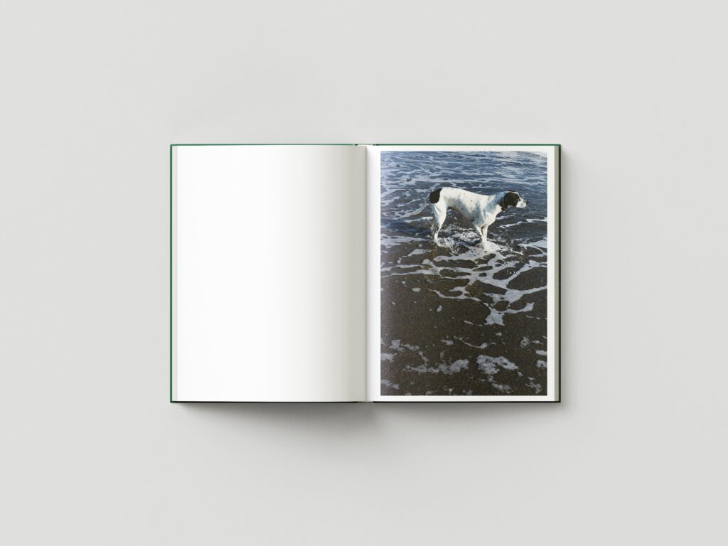 Book_Mockup_13