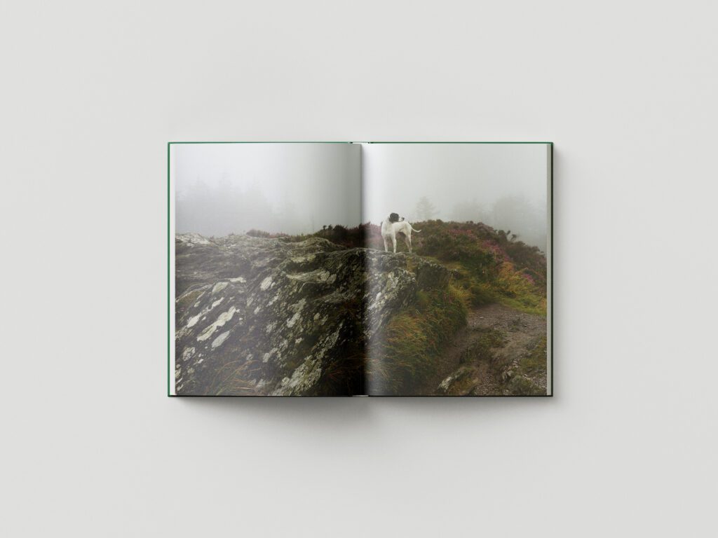 Book_Mockup_3