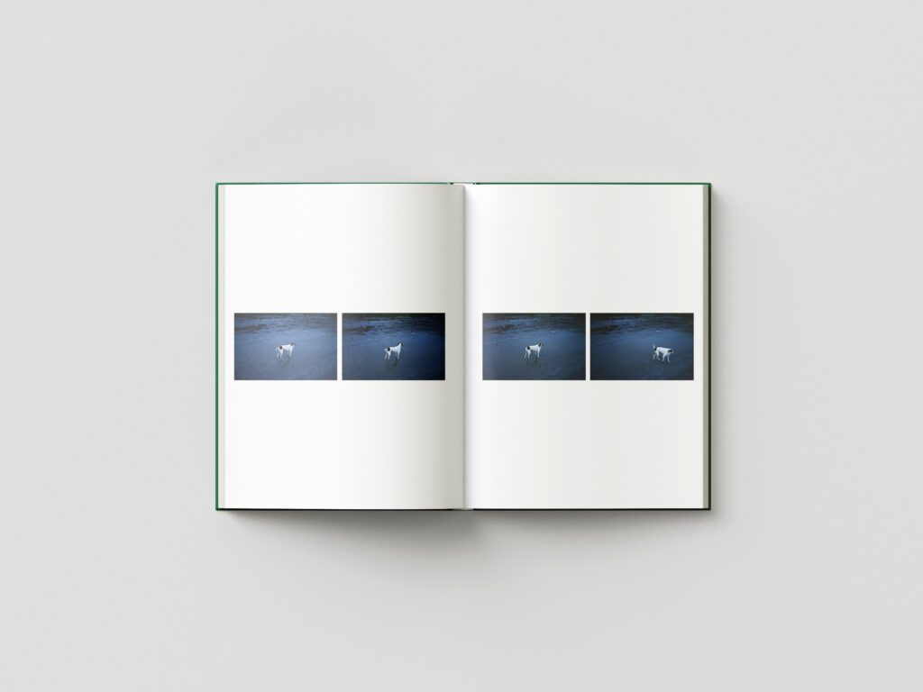 Book_Mockup_5