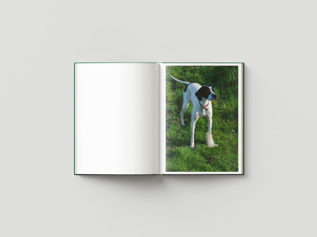 Book_Mockup_6