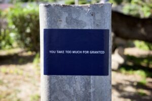 Too Much For Granted